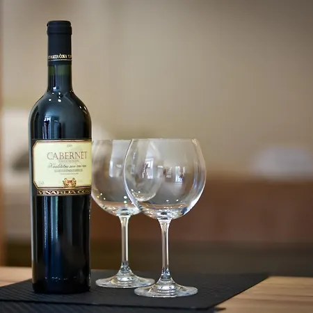 Duga 2 公寓 苏博蒂察