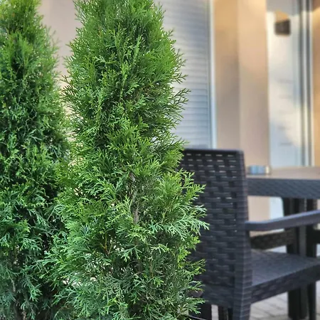 Duga 2 * 苏博蒂察